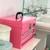 image:imageApollo Tools 14 Inch Steel Tool Box with Deep Top Compartment and 2 Drawers in HeavyDuty Steel With Ball Bearing Opening and Powder Coated Finish  Aqua Green  DT5010GRPink